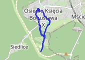 Trasa z dnia 2013-05-15 19:53 - mapa trasy gps - marsz