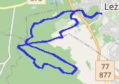 Po zaśnieżonym leżajskim lesie - mapa trasy gps - nordic walking