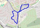 Trasa z dnia 2018-03-31 20:11 - mapa trasy gps - marsz