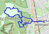 Trasa z dnia 2018-05-06 15:43 - mapa trasy gps - marsz