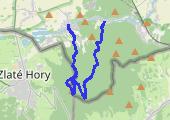 Biskupia Kopa i naparstnice - mapa trasy gps - marsz