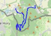 Biskupia Kopa upalnie i burzowo - mapa trasy gps - marsz