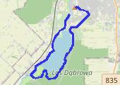 dookoła Zalewu od lewej - mapa trasy gps - bieganie