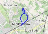 Trasa z dnia 2018-06-23 16:40 - mapa trasy gps - marsz