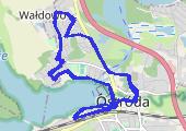 Trasa z dnia 2018-06-10 11:53 - mapa trasy gps - bieganie