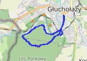 Przednia  Kopa - mapa trasy gps - marsz