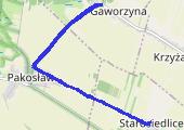 Trasa z dnia 2018-07-25 19:47 - mapa trasy gps - bieganie