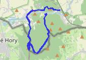 Skały Karolinki i Biskupia Kopa - mapa trasy gps - marsz