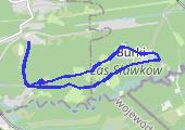 Trasa z dnia 2018-08-19 12:07 - mapa trasy gps - bieganie