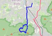 Trasa z dnia 2018-08-25 19:04 - mapa trasy gps - marsz