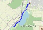 2km trucht + 6x 1km w 4:45 2min + 3km schłodzenie - mapa trasy gps - bieganie