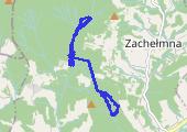 grzybobranie - mapa trasy gps - wędrówka
