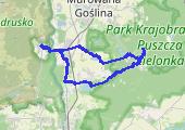 Trasa z dnia 2018-10-14 17:04 - mapa trasy gps - rower górski