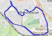 Trasa z dnia 2018-10-17 21:12 - mapa trasy gps - marsz