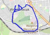 Trasa z dnia 2018-11-13 19:08 - mapa trasy gps - marsz