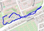 Trasa z dnia 2018-11-16 21:56 - mapa trasy gps - marsz