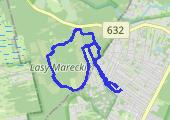 Trasa z dnia 2018-11-19 13:18 - mapa trasy gps - spacer