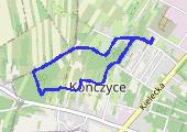 Trasa z dnia 2018-12-19 16:09 - mapa trasy gps - marsz