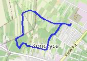 Trasa z dnia 2019-01-06 12:34 - mapa trasy gps - marsz