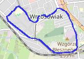 Trasa z dnia 2019-01-08 20:51 - mapa trasy gps - marsz