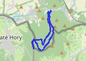 Biskupia Kopa - mapa trasy gps - marsz