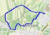 Trasa z dnia 2019-01-13 12:49 - mapa trasy gps - marsz