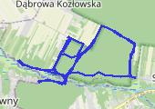 Trasa z dnia 2019-01-26 15:25 - mapa trasy gps - marsz