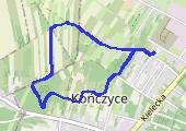 Trasa z dnia 2019-01-27 13:18 - mapa trasy gps - marsz