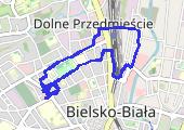 2019-01-19_Marsz_Bielsko - mapa trasy gps - marsz
