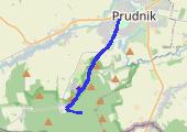 Staw w Lesie Prudnickim - mapa trasy gps - marsz