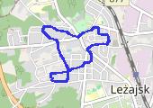 Trasa z dnia 2019-02-05 17:29 - mapa trasy gps - spacer