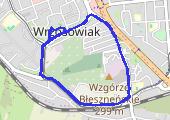 Trasa z dnia 2019-02-07 21:00 - mapa trasy gps - marsz
