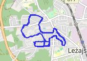 Trasa z dnia 2019-02-08 18:54 - mapa trasy gps - spacer