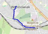 Trasa z dnia 2019-02-08 22:49 - mapa trasy gps - marsz