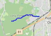 Trasa z dnia 2019-01-01 14:41 - mapa trasy gps - spacer