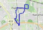 Trasa z dnia 2019-02-17 11:18 - mapa trasy gps - marsz