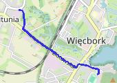 2019-02-17_Marsz_Węcbork - mapa trasy gps - marsz