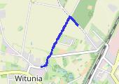 2019-02-17_Marsz_Witunia - mapa trasy gps - marsz