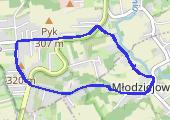 Trasa z dnia 2019-02-20 22:00 - mapa trasy gps - bieganie