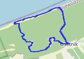 Trasa z dnia 2019-02-24 12:43 - mapa trasy gps - marsz