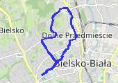 2019-02-20_Marsz_Bielsko - mapa trasy gps - marsz