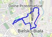 2019-02-28_Marsz_Bielsko - mapa trasy gps - marsz