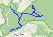Trasa z dnia 2019-03-02 11:30 - mapa trasy gps - marsz