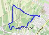 Trasa z dnia 2019-03-03 12:58 - mapa trasy gps - marsz