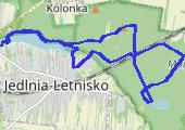 Trasa z dnia 2019-03-03 14:03 - mapa trasy gps - marsz