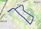 Trasa z dnia 2019-03-03 14:57 - mapa trasy gps - marsz