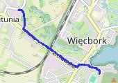 2019-03-03_Marsz_WITUNIA1 - mapa trasy gps - marsz