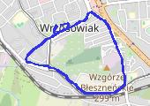 Trasa z dnia 2019-03-06 21:19 - mapa trasy gps - marsz