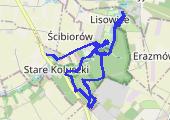 Trasa z dnia 2019-03-08 06:30 - mapa trasy gps - bieganie