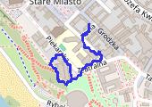 Trasa z dnia 2019-03-15 20:50 - mapa trasy gps - spacer